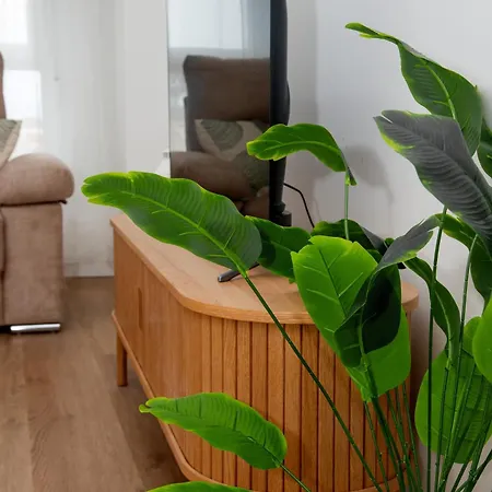 Apartamento Mar De Ria